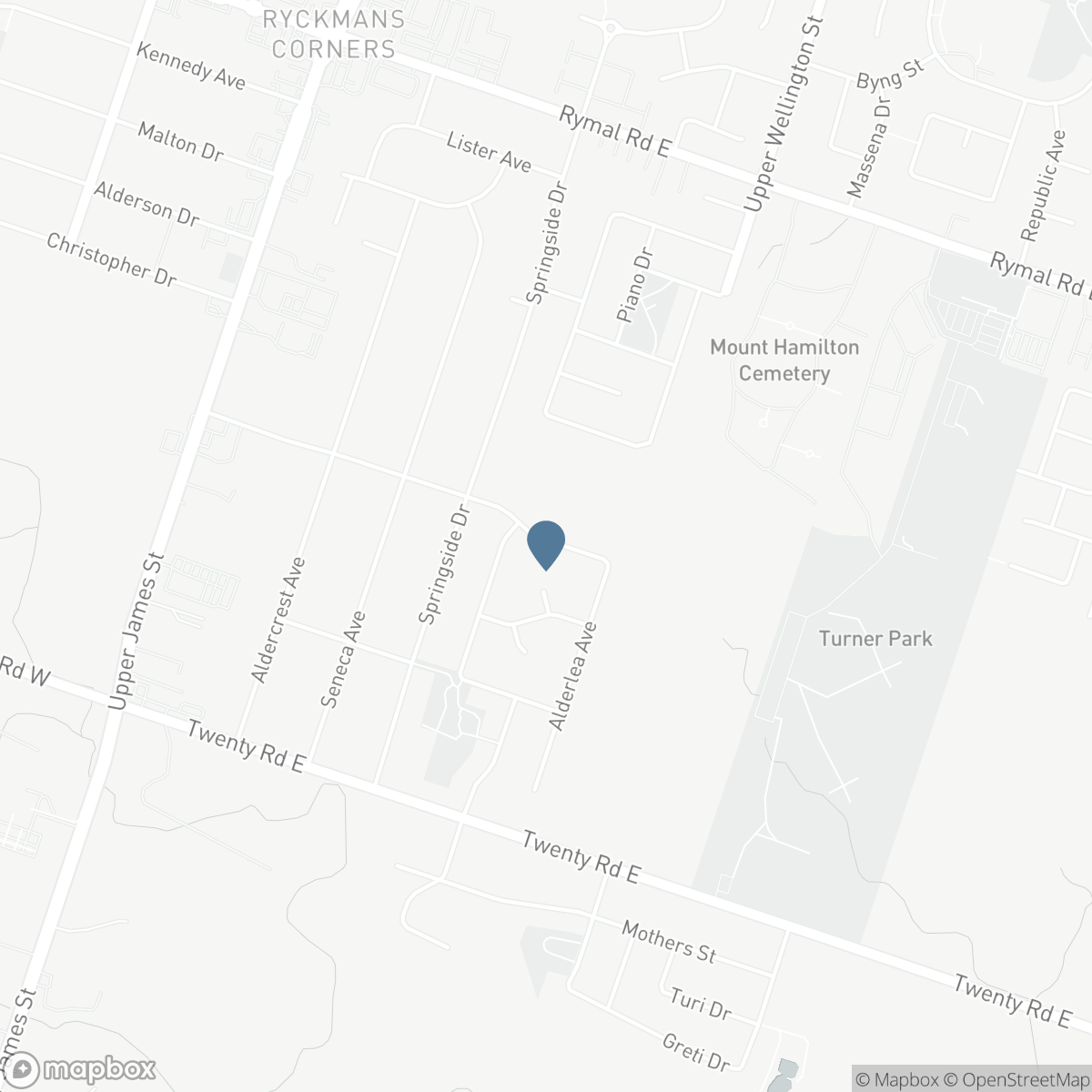 172 ALDERLEA AVENUE, Hamilton, Ontario L0R 1W0